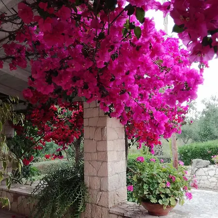 빌라 Casa Nostos *